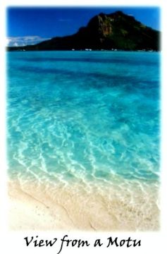 THE SECRET ISLAND.jpg