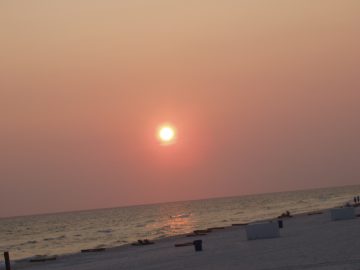 Cathies_seaside_pics 001.JPG