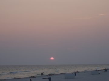 Cathies_seaside_pics 009.JPG