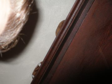 christmas 2005 039.jpg