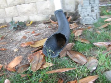 Late_Summer_2006 010.jpg