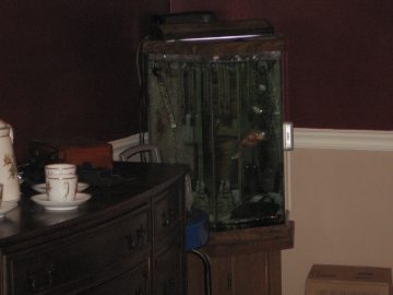 Late_Summer_2006 142.jpg