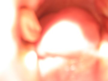 Late_Summer_2006 041.jpg