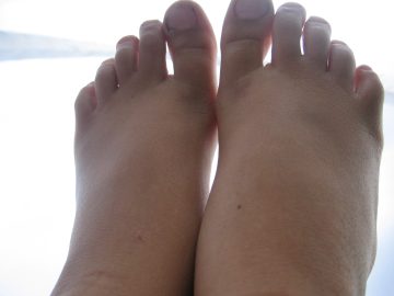 Late_Summer_2006 042.jpg