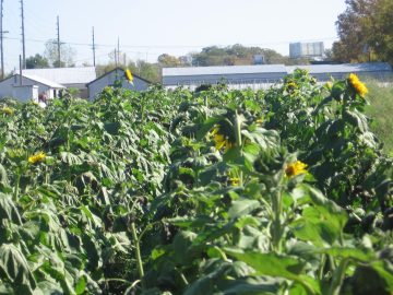 chris_wedding_fall_2006 057.jpg