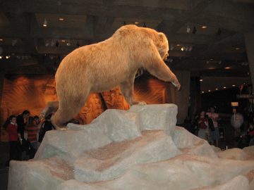 December_2006 031.jpg