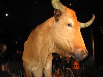 December_2006 030.jpg