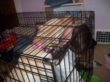 Natalie's pics 005.JPG