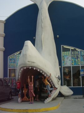 Cathies_first_seaside_pics_2007 035.JPG