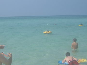 Seaside_2007 151.JPG