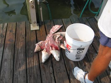 Seaside_Golf_2007 035.JPG