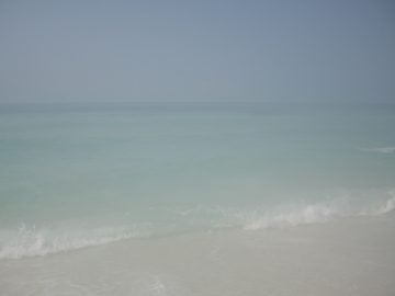 Seaside_big_waves_2007 010.JPG