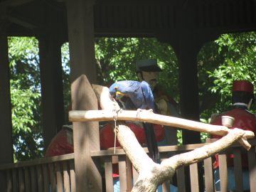 September_2009 010.JPG