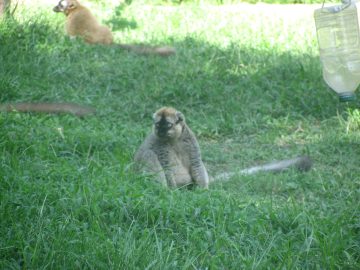 September_2009 011.JPG