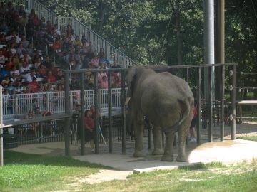 September_2009 012.JPG