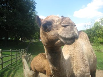 September_2009 016.JPG