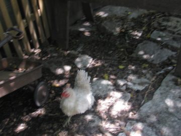 September_2009 116.JPG