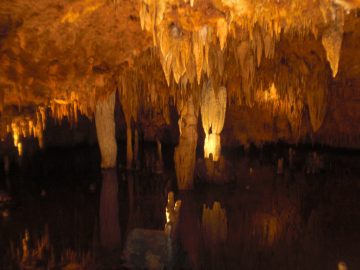 Rachaels_Spring_2009 008.JPG