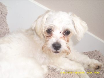 Rachaels_Summer_2008 008.JPG