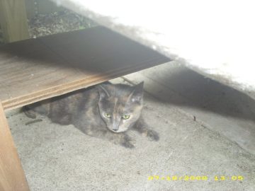 Summer_Vacation_2008 005.JPG