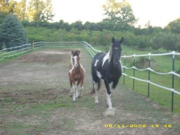 Summer_Vacation_2008 071.JPG