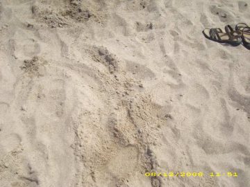 Summer_Vacation_2008 081.JPG