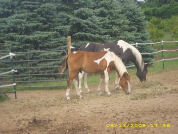 Summer_Vacation_2008 144.JPG