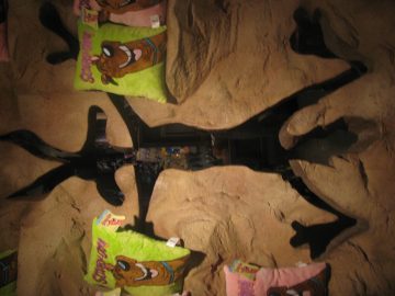 September_2009 168.JPG