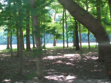 September_2009 181.JPG