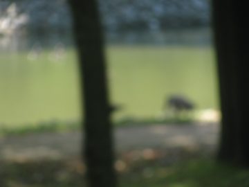 September_2009 182.JPG