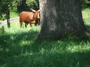 September_2009 185.JPG