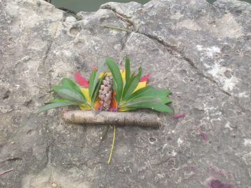 Natalie's pics 063.JPG