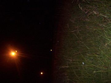 Natalie's pics 068.JPG