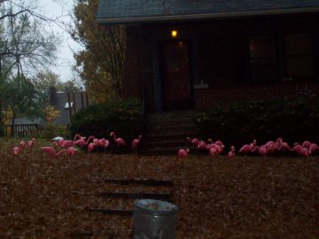 Natalie's pics 072.JPG