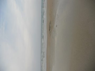 Rachaels freaking photos. 2011 018.JPG