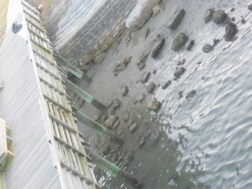 Rachaels freaking photos. 2011 036.JPG