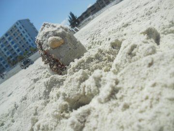 Rachaels freaking photos. 2011 048.JPG