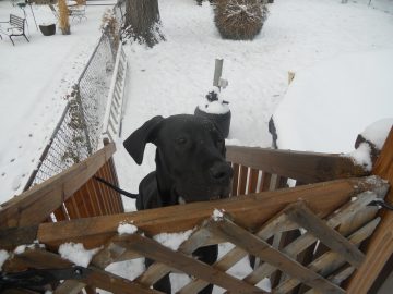 Rachaels freaking photos. 2011 063.JPG