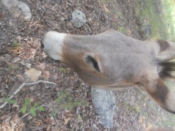 abcdefgasdfghjkl 021.JPG