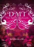 dmt_the_spirit_molecule_304a0205_137.jpg
