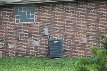 Lori's Pictures 061.JPG