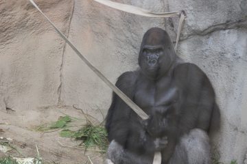 Lori's Pictures 066.JPG