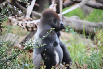 Lori's Pictures 068.JPG