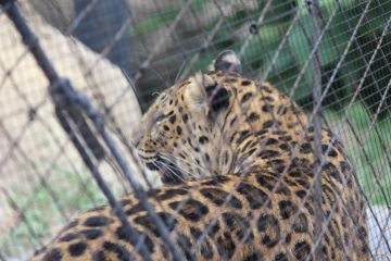 Lori's Pictures 076.JPG