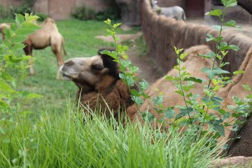 Lori's Pictures 082.JPG