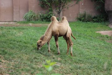 Lori's Pictures 083.JPG