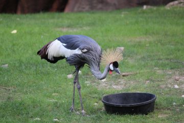 Lori's Pictures 091.JPG