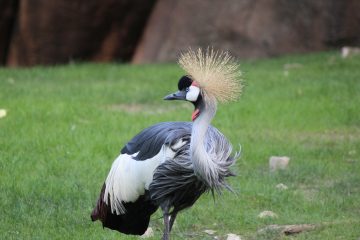 Lori's Pictures 092.JPG