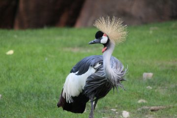 Lori's Pictures 093.JPG