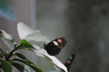 Lori's Pictures 097.JPG